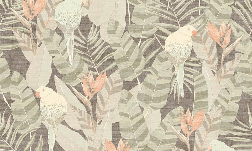 ARTE INTERNATIONAL-Curiosa-Arcadia-13571