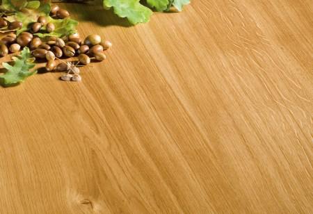 Stejar FP 138 Oregon