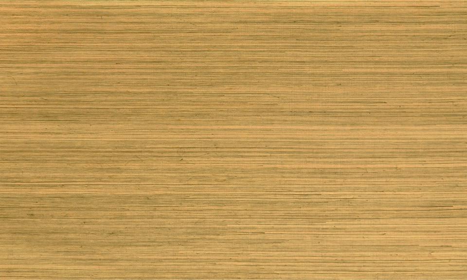ARTE INTERNATIONAL-Oculaire-Line-80710