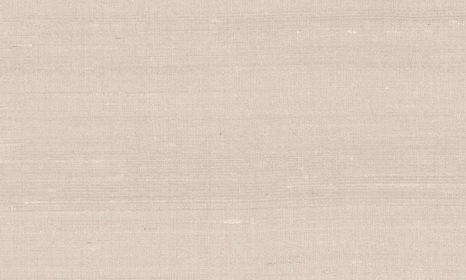 ARTE INTERNATIONAL-Paleo-Latus-50512