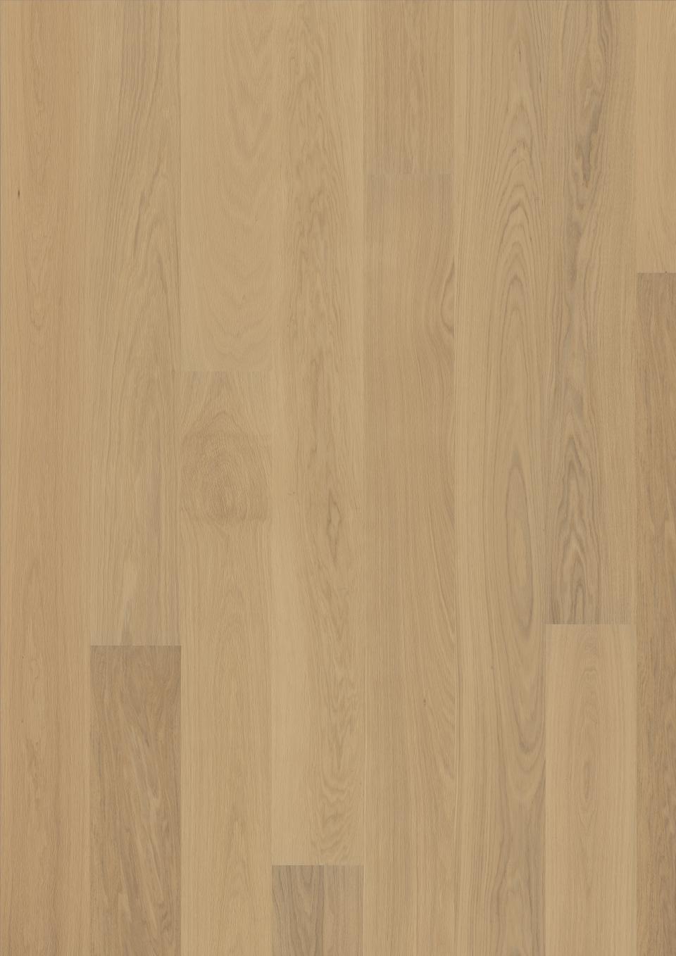 Stejar FP Natur New Arctic