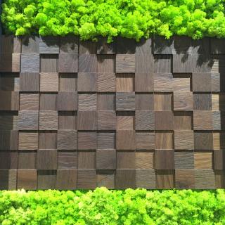 Tendinţe de lemn în 2016